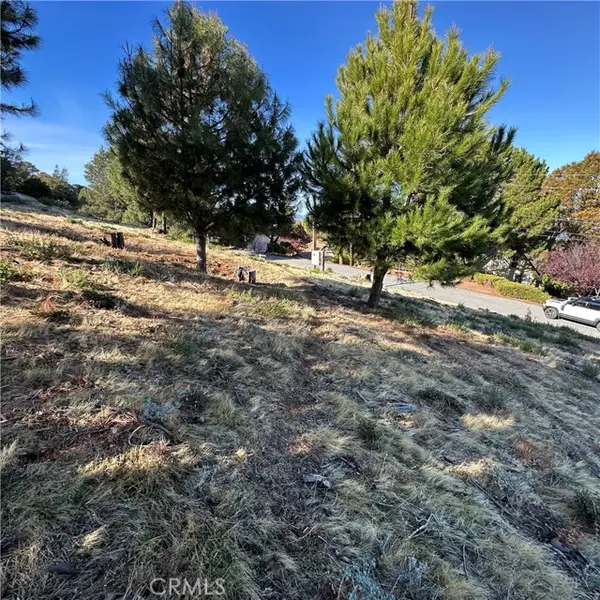 7826 Evergreen Drive, Kelseyville, CA 95451