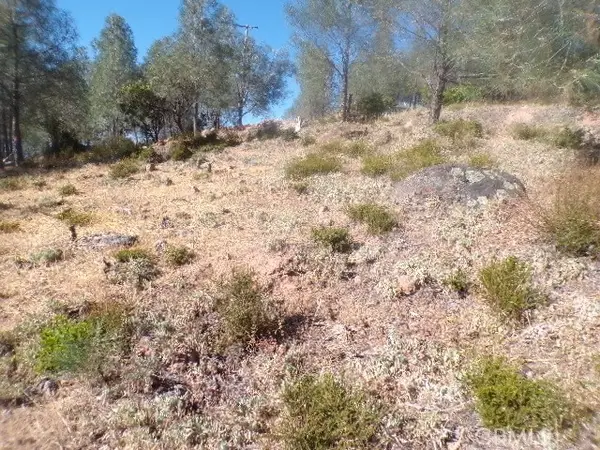 10070 El Capitan, Kelseyville, CA 95451