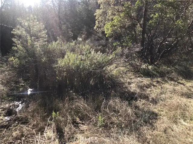 9660 Harrington Flat Road, Lake, CA 95461 - Image #2