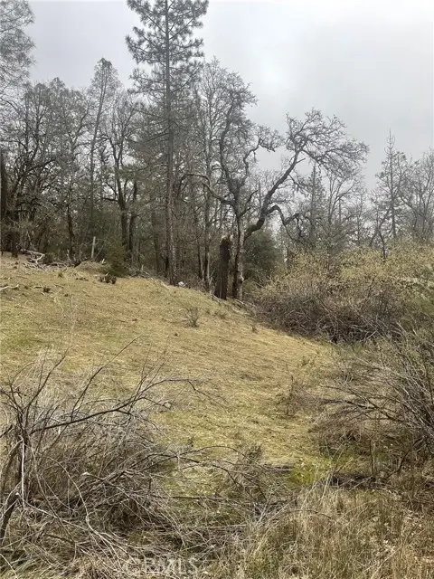 9660 Harrington Flat Road, Lake, CA 95461 - Image #3