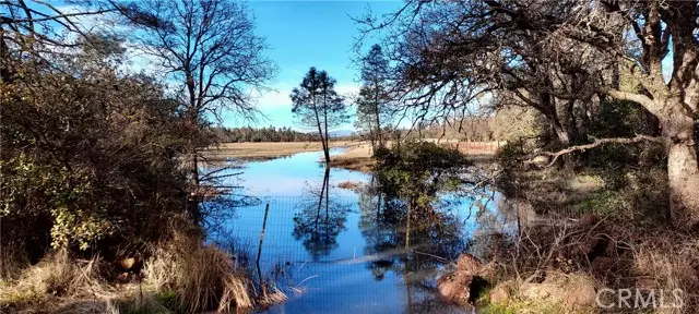 15151 Gray Pine Road, Lower Lake, CA 95457 - #1