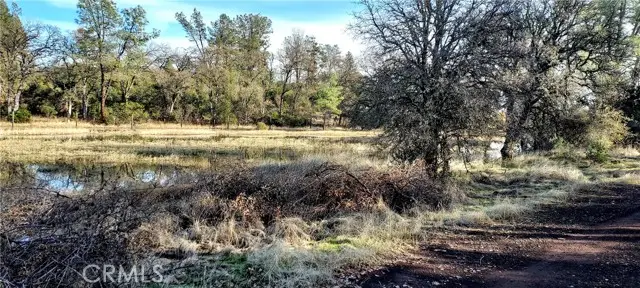 15151 Gray Pine Road, Lower Lake, CA 95457 - #2