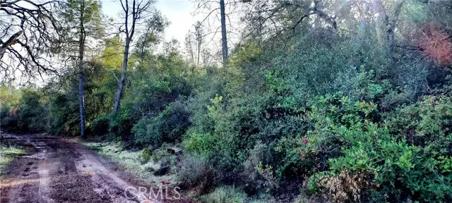 15151 Gray Pine Road, Lower Lake, CA 95457 - #3