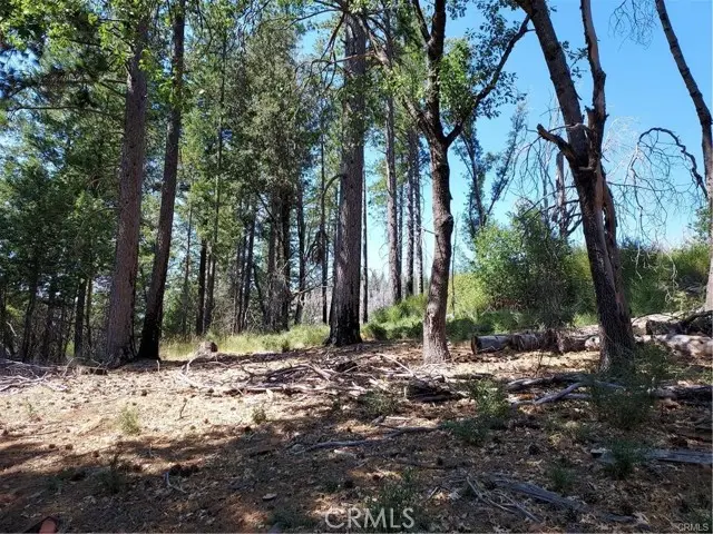 16102 Sugar Pine Ridge Road, Cobb, CA 95426 - Image #2