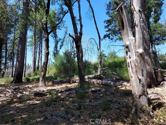 16102 Sugar Pine Ridge Road, Cobb, CA 95426 - Image #3