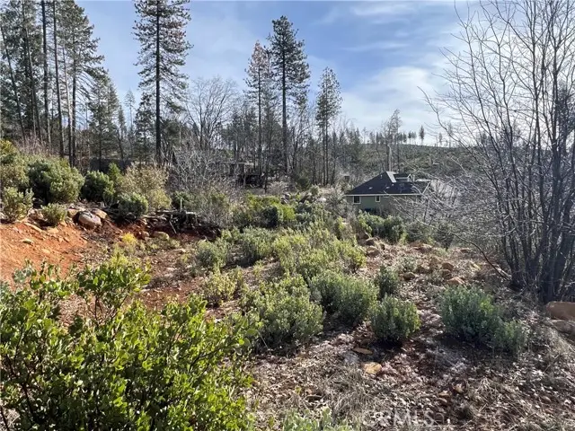 16070 Pine Street, Cobb, CA 95426 - Image #1