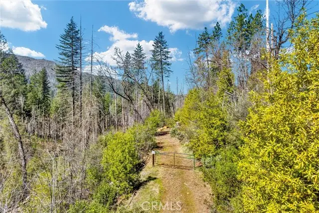 12061 Gifford Springs Road, Cobb, CA 95426 - Image #1