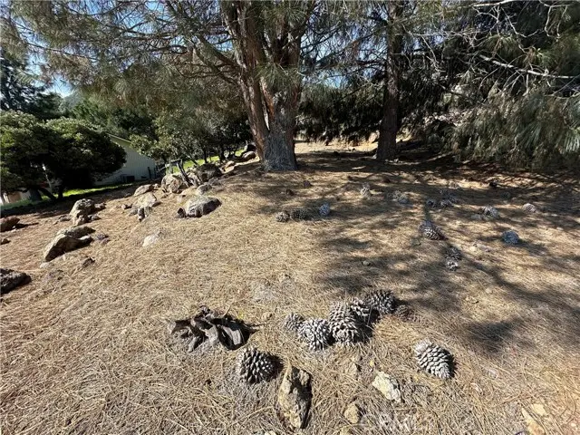 3575 Shoreline View Way, Kelseyville, CA 95451 - Image #3