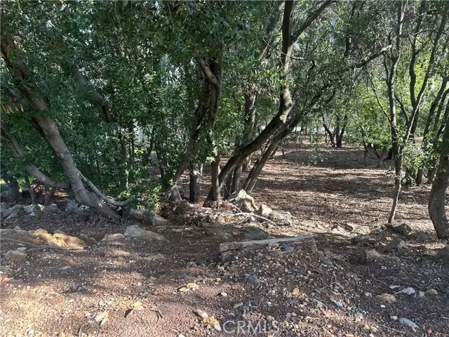 3470 Shoreline View Way, Kelseyville, CA 95451 - Image #2
