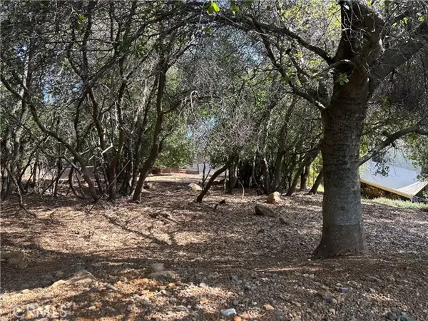 8310 Mountain Crest Drive, Kelseyville, CA 95451