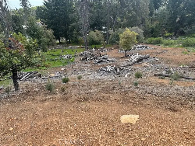 3382 Pine Terrace Drive, Kelseyville, CA 95451 - Image #3