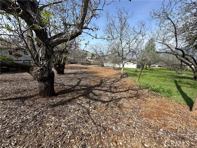 3165 Marina View Drive, Kelseyville, CA 95451 - Image #3