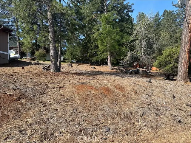 3575 Idlewood Drive, Kelseyville, CA 95451 - Image #2