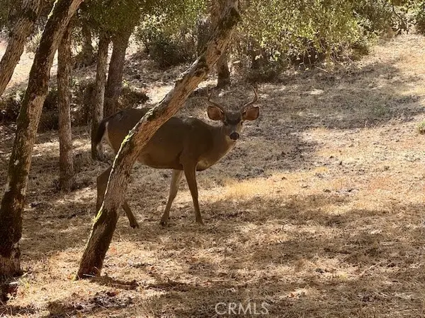 10789 Harbor Road, Kelseyville, CA 95451