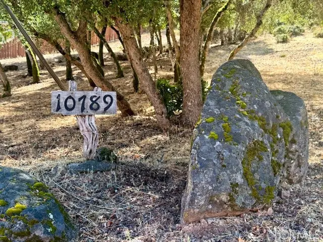 10789 Harbor Road, Kelseyville, CA 95451 - Image #2