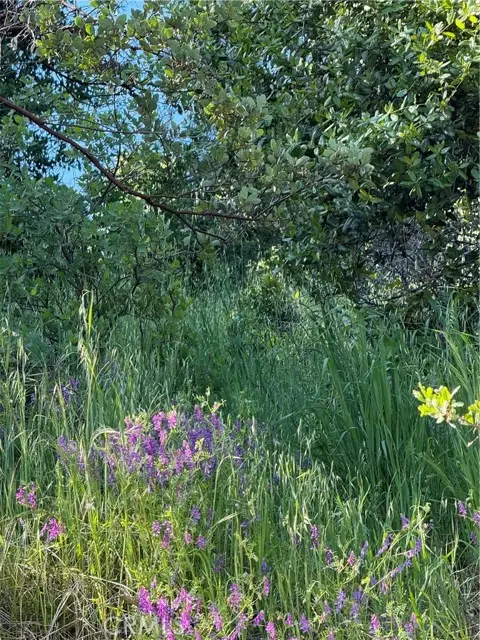 6705 Floyd Way, Nice, CA 95464 - Image #1