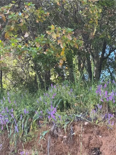 6705 Floyd Way, Nice, CA 95464 - Image #3