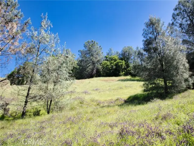 6983 Leslie Road, Lucerne, CA 95458 - Image #3