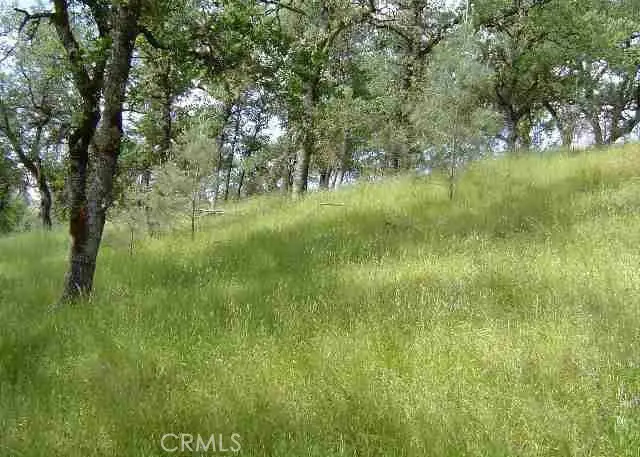 15709 Cache Creek Road, Clearlake Oaks, CA 95423 - Image #2