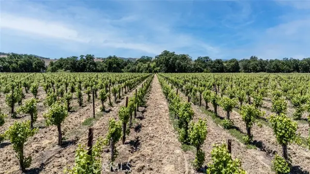 270 Soda Bay Road, Lakeport, CA 95453 - Image #2