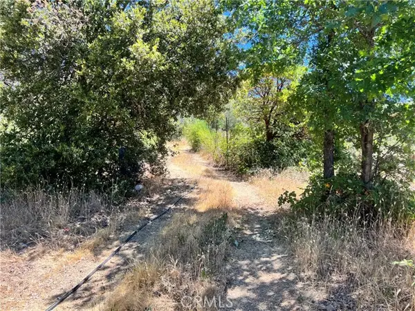 10725 Gifford Springs Road, Cobb, CA 95426