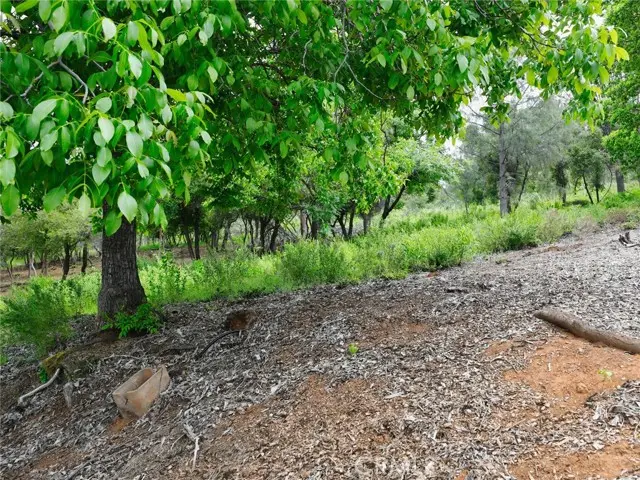 3210 Skyline Drive, Kelseyville, CA 95451 - Image #3