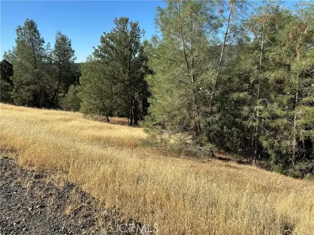 3265 Wolf Creek Road, Clearlake Oaks, CA 95423 - #2