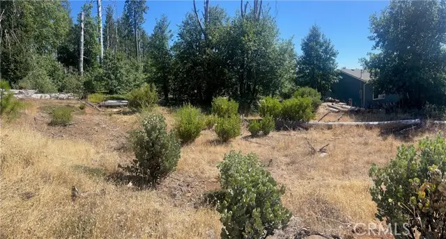 11495 Pine Summit, Cobb, CA 95426 - Image #3