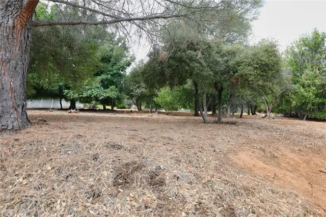 3407 Toyon Ct, Kelseyville, CA 95451 - Image #3