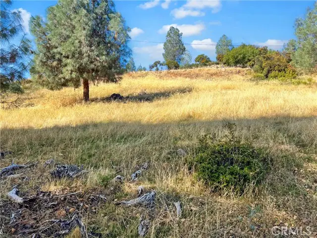 10203 El Capitan, Kelseyville, CA 95451 - #1