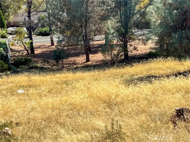 10203 El Capitan, Kelseyville, CA 95451 - #2