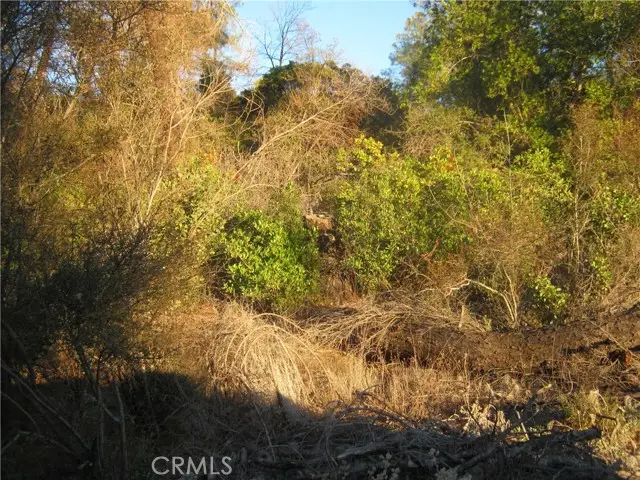 9000 S State Highway 29, Lower Lake, CA 95457 - #3