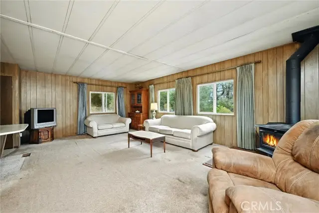 20110 Jerusalem Grade, Lower Lake, CA 95457 - Image #3