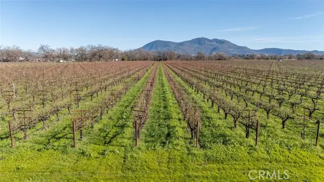 4450 Davis Drive, Lakeport, CA 95453 - #3