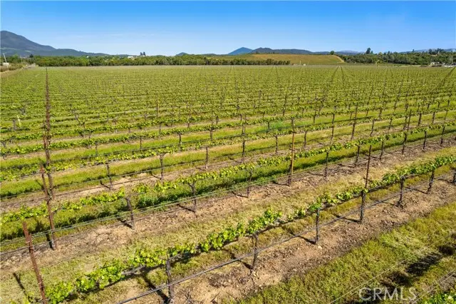 1650 Bell Hill Road, Kelseyville, CA 95451 - #2