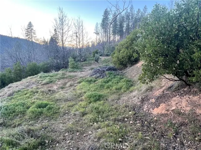 16709 Starview Loop, Cobb, CA 95426 - #2