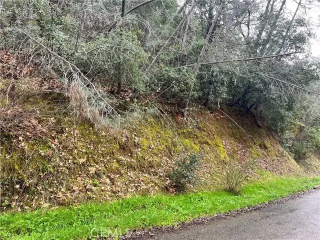 7022 Black Oak Street, Nice, CA 95464 - #3