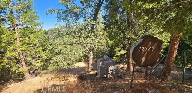 25126 Jewel Drive, Crestline, CA 92325 - Image #3