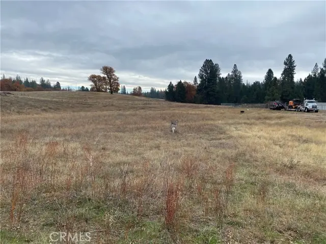 6434 Greeley Hill Road, Coulterville, CA 95311 - Image #3