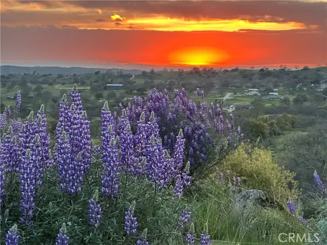 0 Spinecup Ridge, Raymond, CA 93653 - Image #1