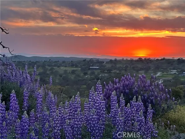 0 Spinecup Ridge, Raymond, CA 93653 - Image #2