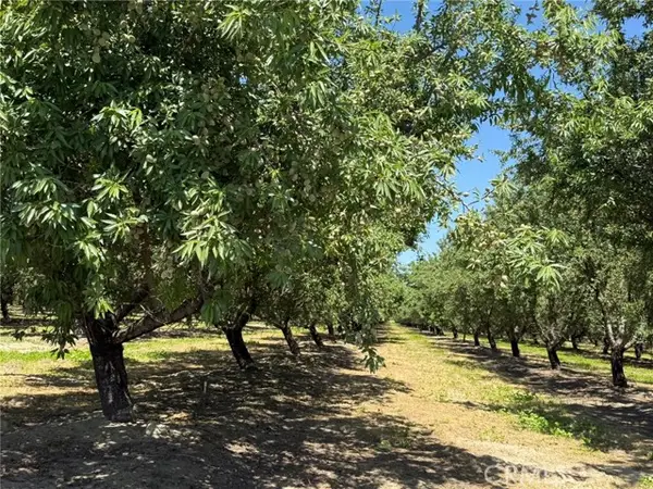 0 Sunset Cut / Cutoff, Livingston, CA 95334