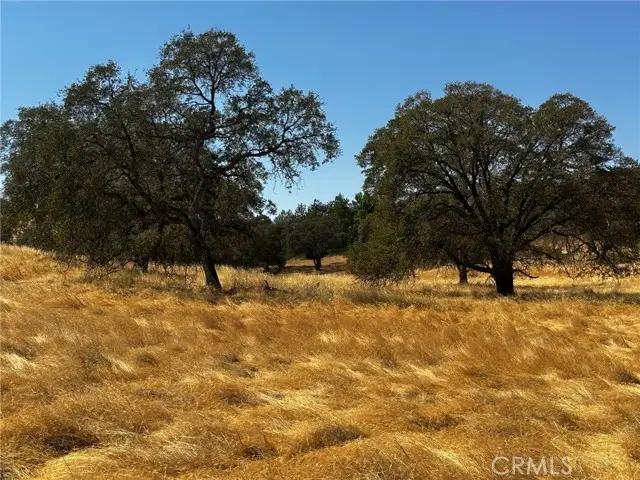 3035 Blue Oak Dr., Catheys Valley, CA 95306 - Image #3