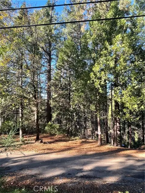 22447 Ponderosa Dr, Twain Harte, CA 95383 - #2