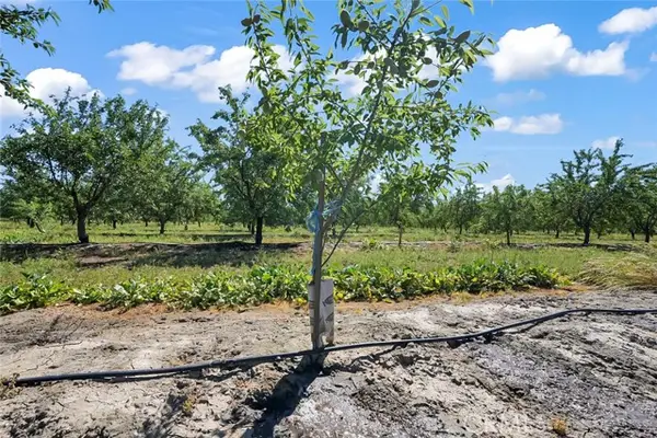 0 Buchanan Hollow Road, Le Grand (also Legrand), CA 95333