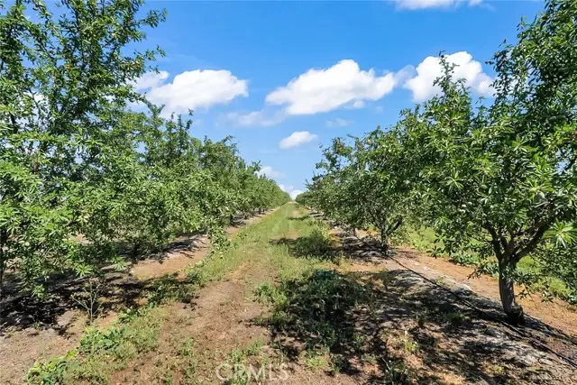 0 Buchanan Hollow Road, Planada Le Grand, CA 95333 - #3