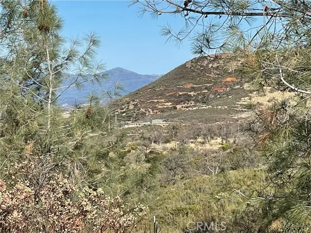 #3