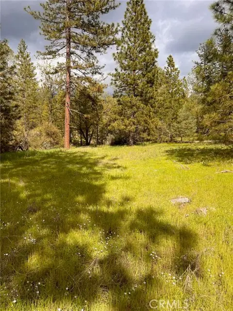 4959 Sierra Pines, Mariposa, CA 95338 - Image #2