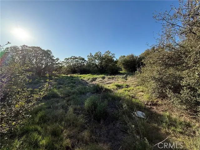 3 Chihuahua Valley Road, Warner Springs, CA 92086 - Image #3