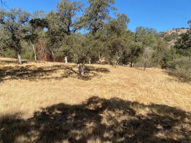 8 Tioga Drive, Coarsegold, CA 93614 - Image #2